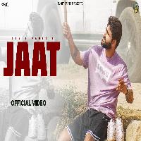 Jaat New Haryanvi Song 2024 By Sumit Parta Poster